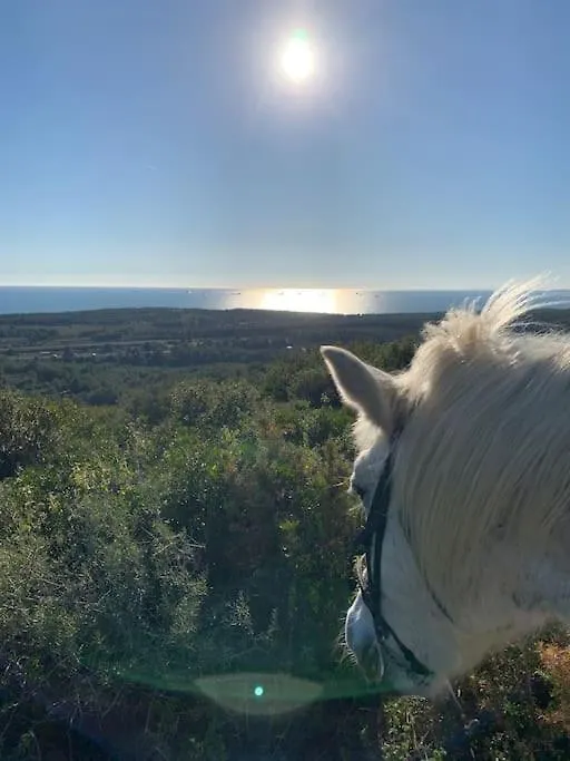 Casa Del Cami, Turisme Rural Calma I Pedra A 14 Minuts De La Platja Villa Ardenya Holiday home