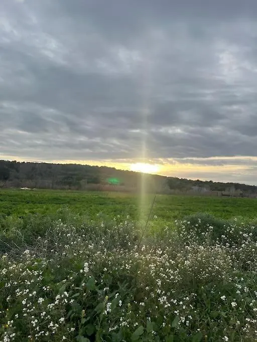 Casa Del Cami, Turisme Rural Calma I Pedra A 14 Minuts De La Platja Villa Ardenya